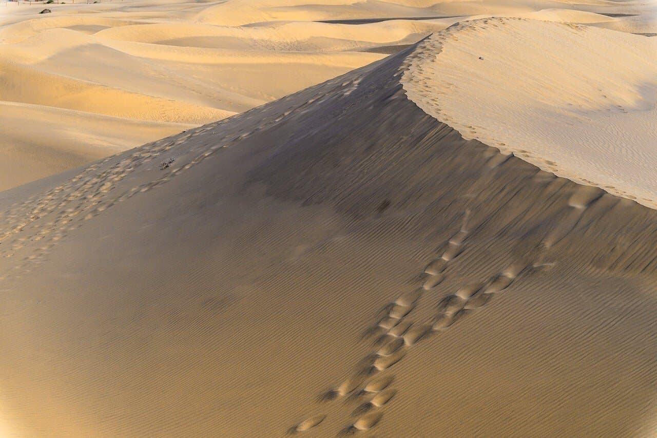 أرفود
