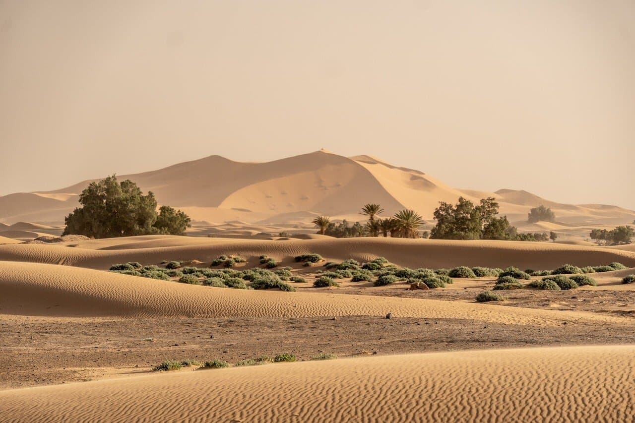 زاكورة